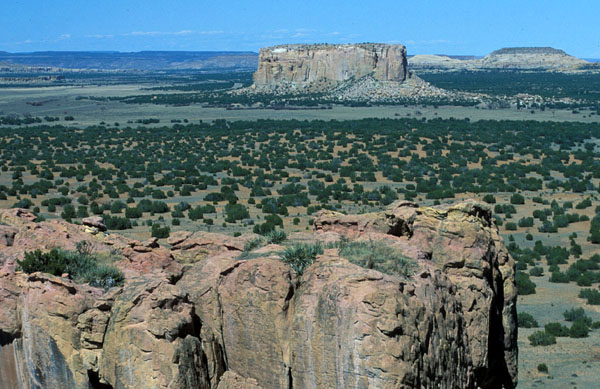 New Mexico landscape